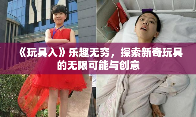 《玩具入》乐趣无穷，探索新奇玩具的无限可能与创意