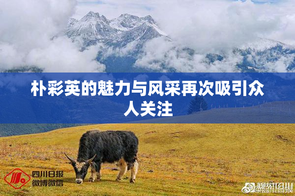 朴彩英的魅力与风采再次吸引众人关注