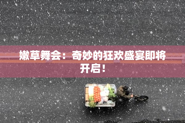 嫩草舞会：奇妙的狂欢盛宴即将开启！