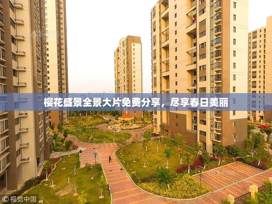 樱花盛景全景大片免费分享，尽享春日美丽