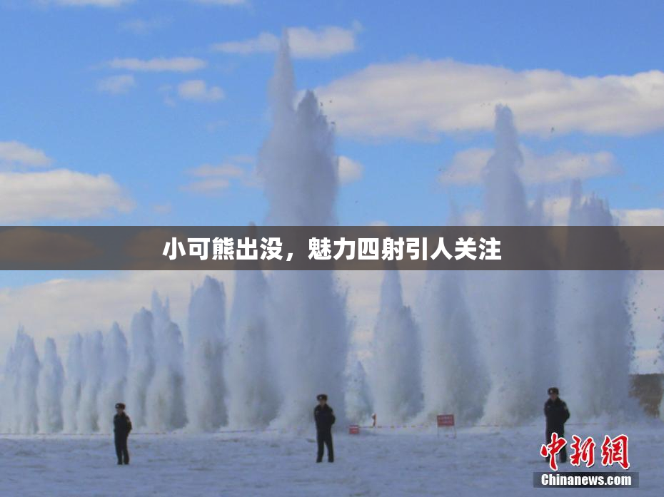 小可熊出没，魅力四射引人关注