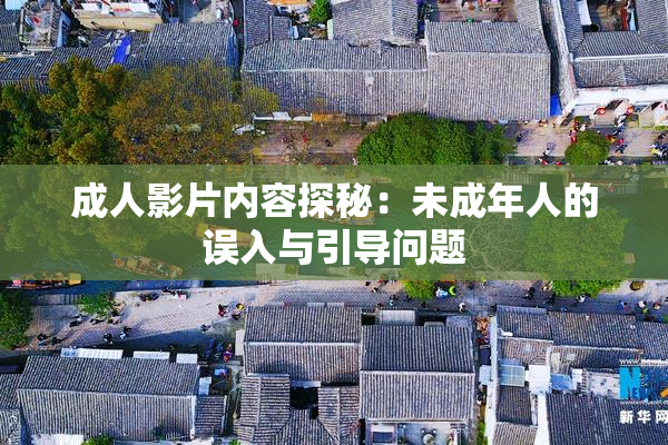 成人影片内容探秘：未成年人的误入与引导问题