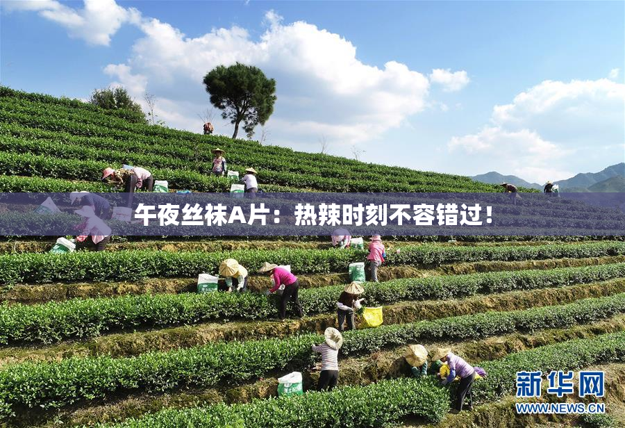 午夜丝袜A片：热辣时刻不容错过！