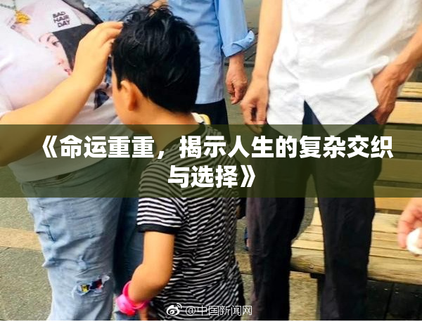 《命运重重，揭示人生的复杂交织与选择》