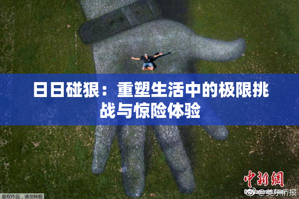 日日碰狠：重塑生活中的极限挑战与惊险体验