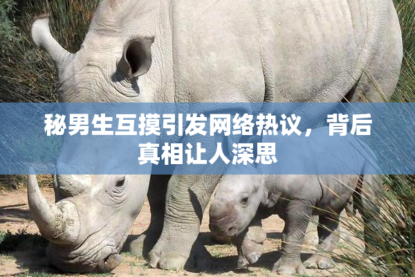 秘男生互摸引发网络热议，背后真相让人深思