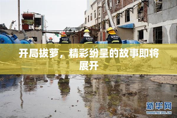 开局拔萝，精彩纷呈的故事即将展开