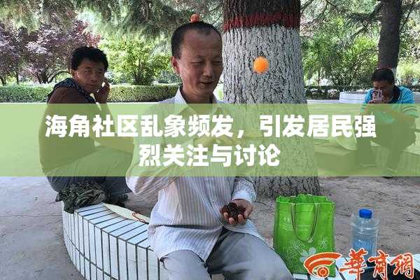 海角社区乱象频发，引发居民强烈关注与讨论