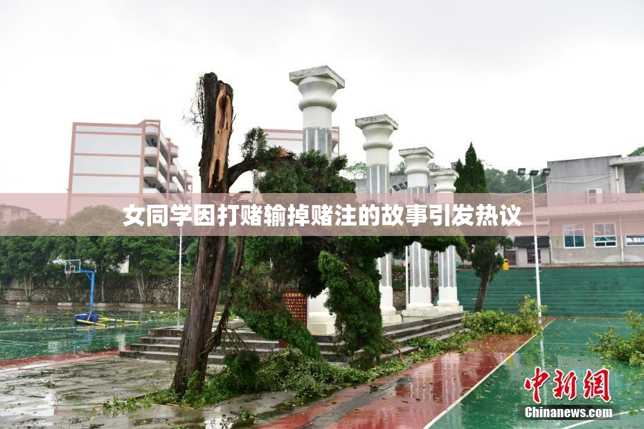 女同学因打赌输掉赌注的故事引发热议