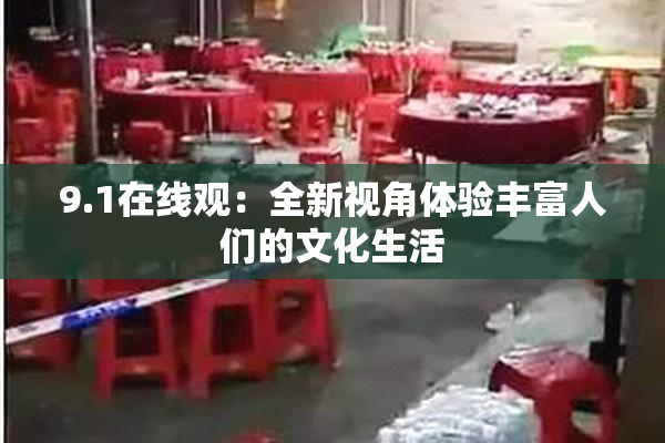 9.1在线观：全新视角体验丰富人们的文化生活