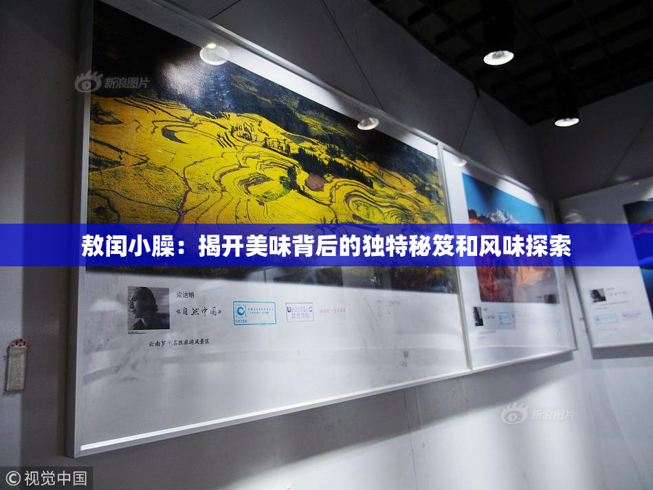 敖闰小臊：揭开美味背后的独特秘笈和风味探索