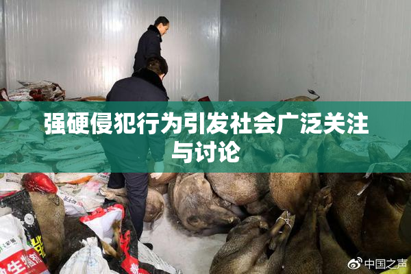 强硬侵犯行为引发社会广泛关注与讨论