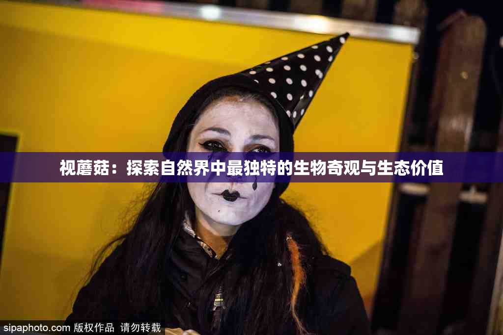 视蘑菇：探索自然界中最独特的生物奇观与生态价值