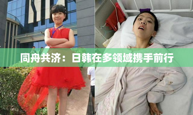 同舟共济：日韩在多领域携手前行