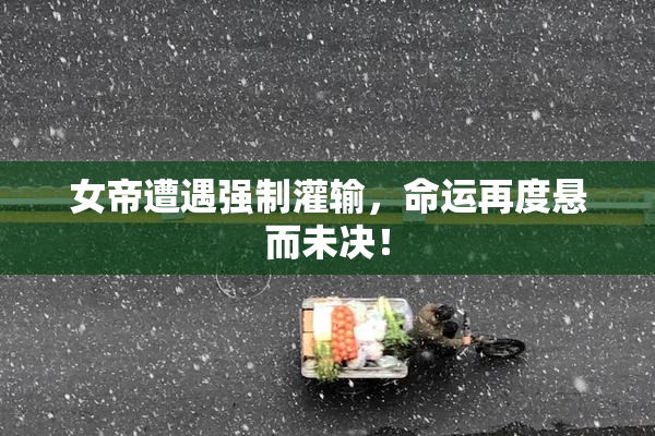 女帝遭遇强制灌输，命运再度悬而未决！