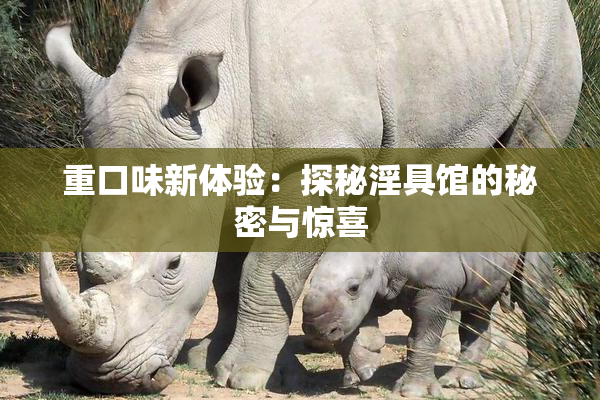 重口味新体验：探秘淫具馆的秘密与惊喜