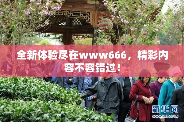 全新体验尽在www666，精彩内容不容错过！