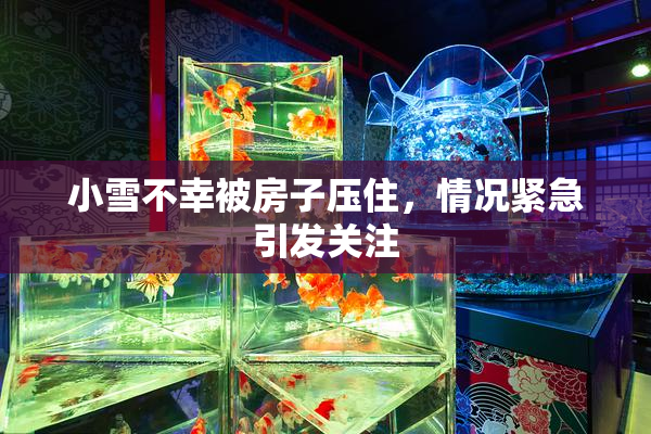 小雪不幸被房子压住，情况紧急引发关注