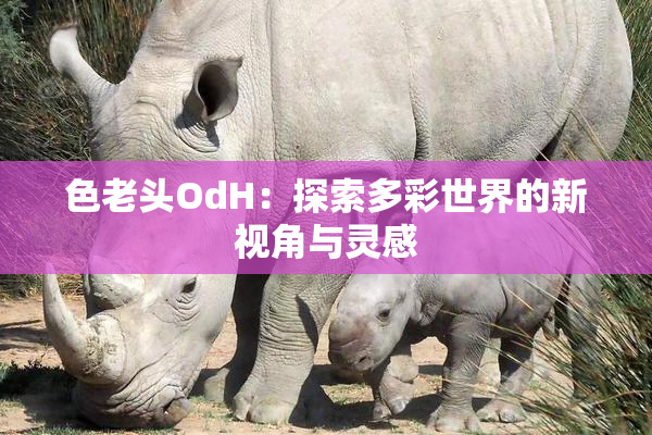 色老头OdH：探索多彩世界的新视角与灵感