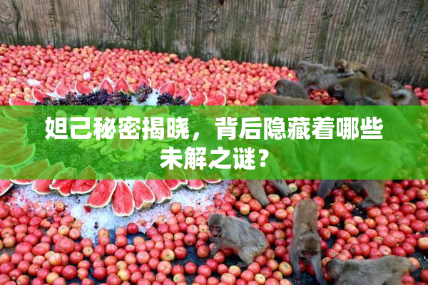 妲己秘密揭晓，背后隐藏着哪些未解之谜？