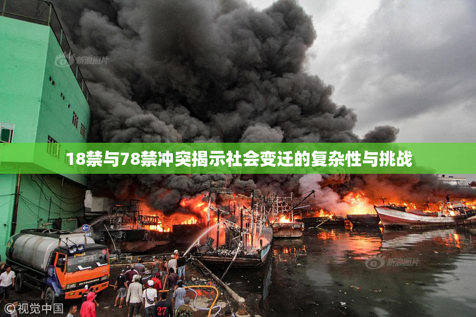 18禁与78禁冲突揭示社会变迁的复杂性与挑战