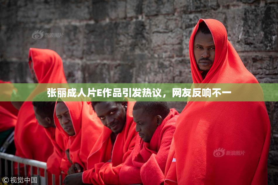 张丽成人片E作品引发热议，网友反响不一