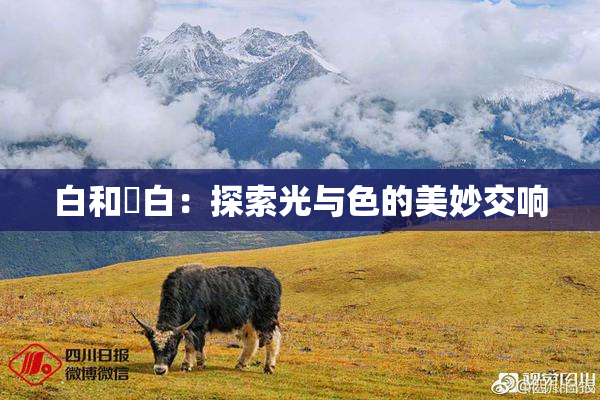 白和晄白：探索光与色的美妙交响