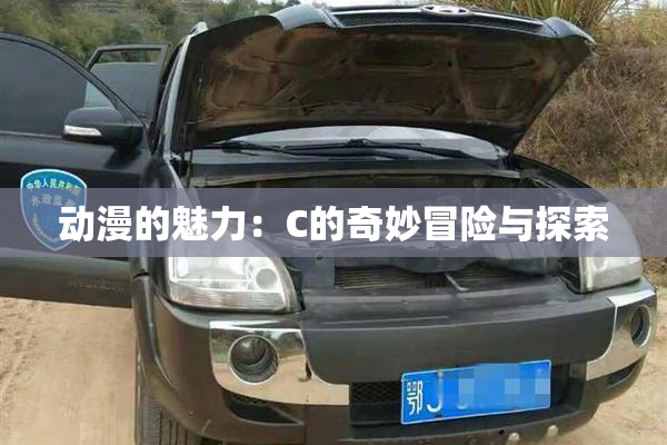 动漫的魅力：C的奇妙冒险与探索