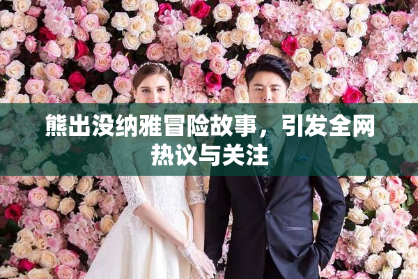 熊出没纳雅冒险故事，引发全网热议与关注