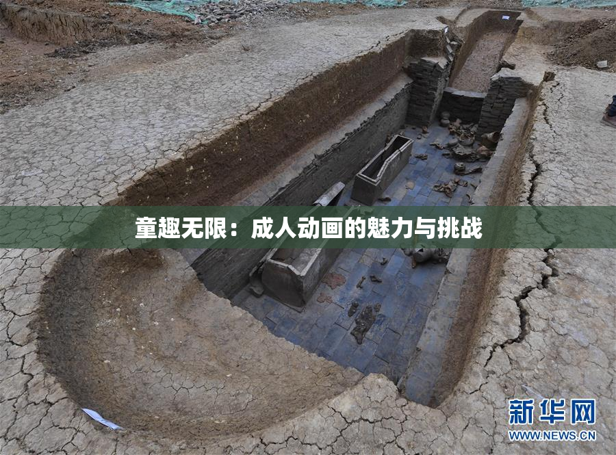 童趣无限：成人动画的魅力与挑战
