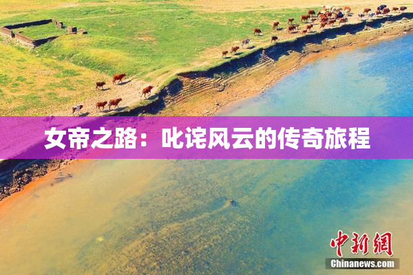 女帝之路：叱诧风云的传奇旅程