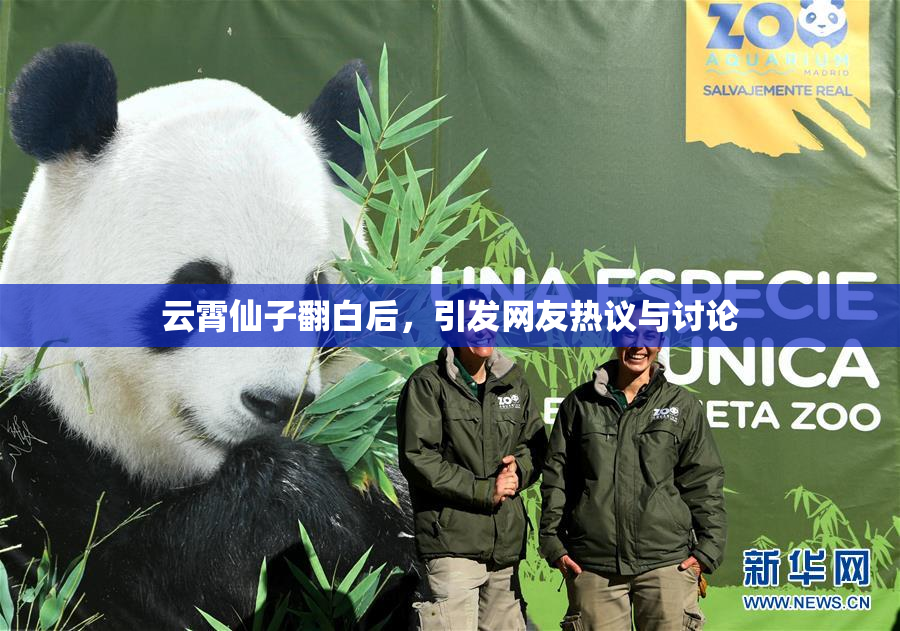 云霄仙子翻白后，引发网友热议与讨论