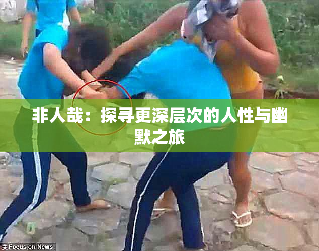 非人哉：探寻更深层次的人性与幽默之旅