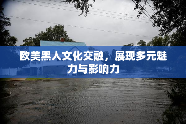 欧美黑人文化交融，展现多元魅力与影响力
