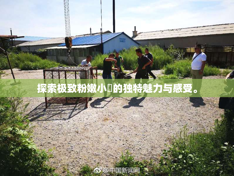 探索极致粉嫩小泬的独特魅力与感受。