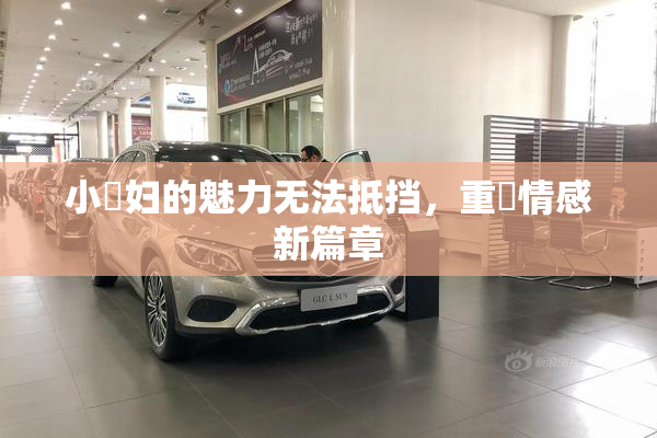 小婬妇的魅力无法抵挡，重啟情感新篇章