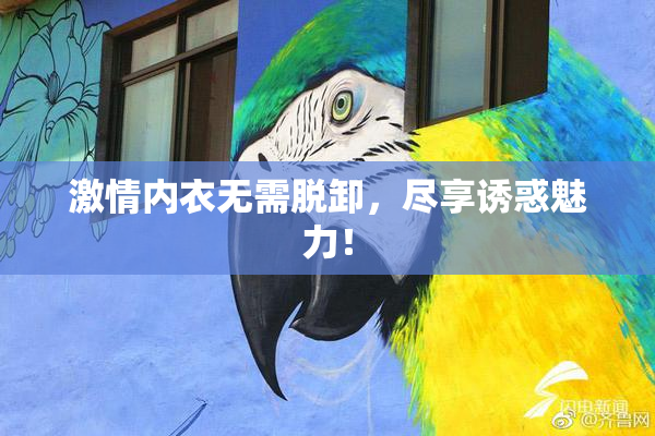 激情内衣无需脱卸，尽享诱惑魅力！