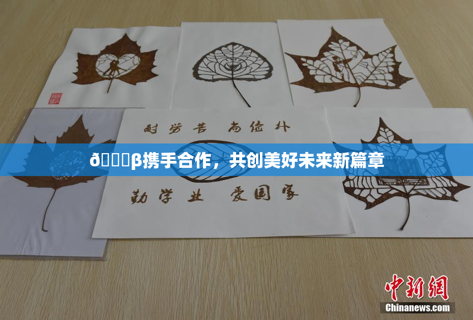 👙β携手合作，共创美好未来新篇章
