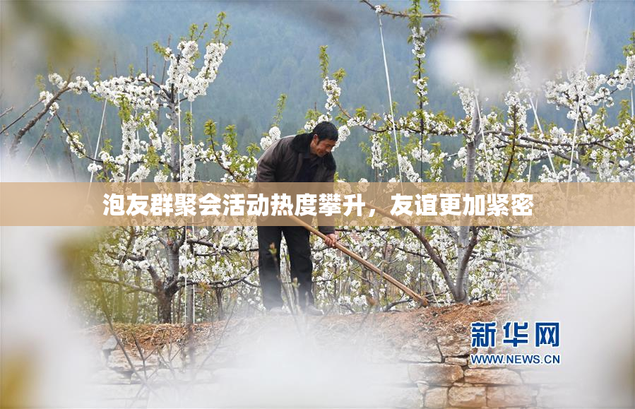 泡友群聚会活动热度攀升，友谊更加紧密