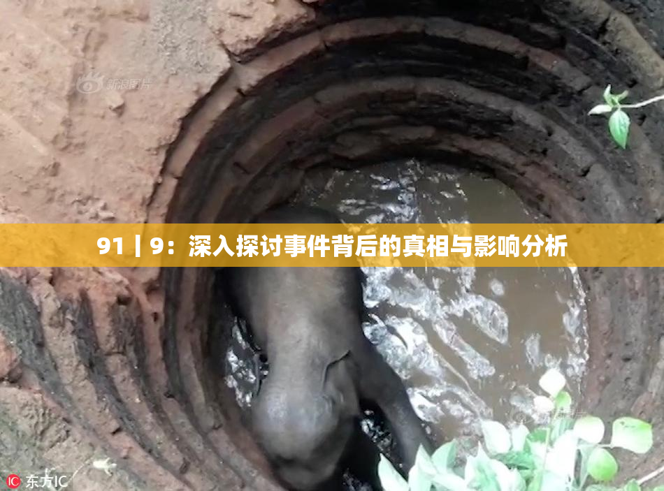 91丨9：深入探讨事件背后的真相与影响分析