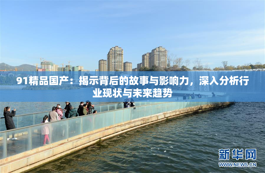 91精品国产：揭示背后的故事与影响力，深入分析行业现状与未来趋势