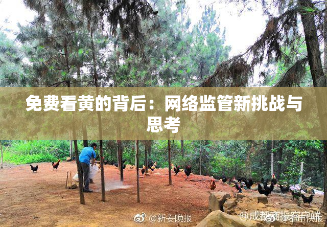 免费看黄的背后：网络监管新挑战与思考