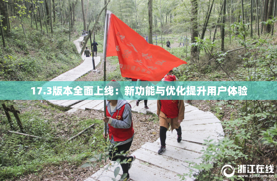 17.3版本全面上线：新功能与优化提升用户体验