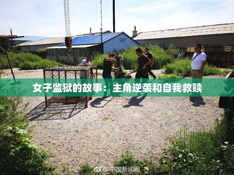 女子监狱的故事：主角逆袭和自我救赎