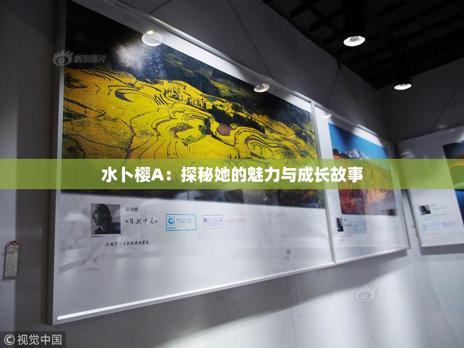 水卜樱A：探秘她的魅力与成长故事