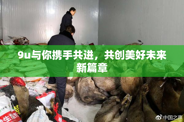 9u与你携手共进，共创美好未来新篇章