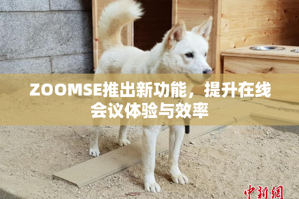ZOOMSE推出新功能，提升在线会议体验与效率