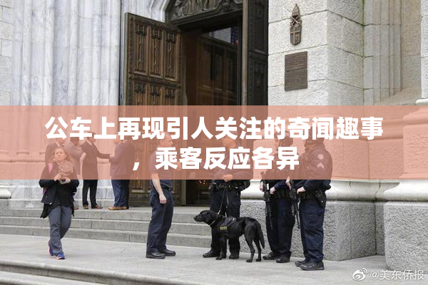 公车上再现引人关注的奇闻趣事，乘客反应各异