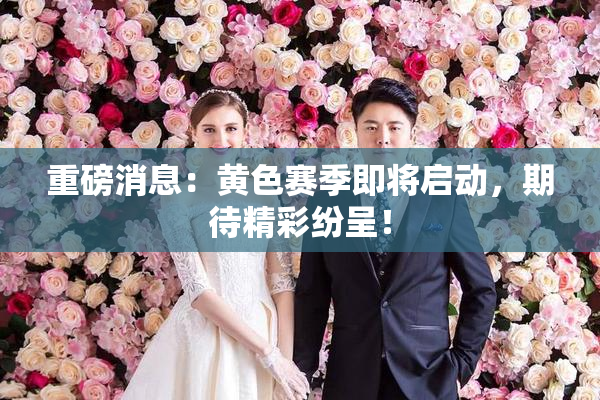 重磅消息：黄色赛季即将启动，期待精彩纷呈！