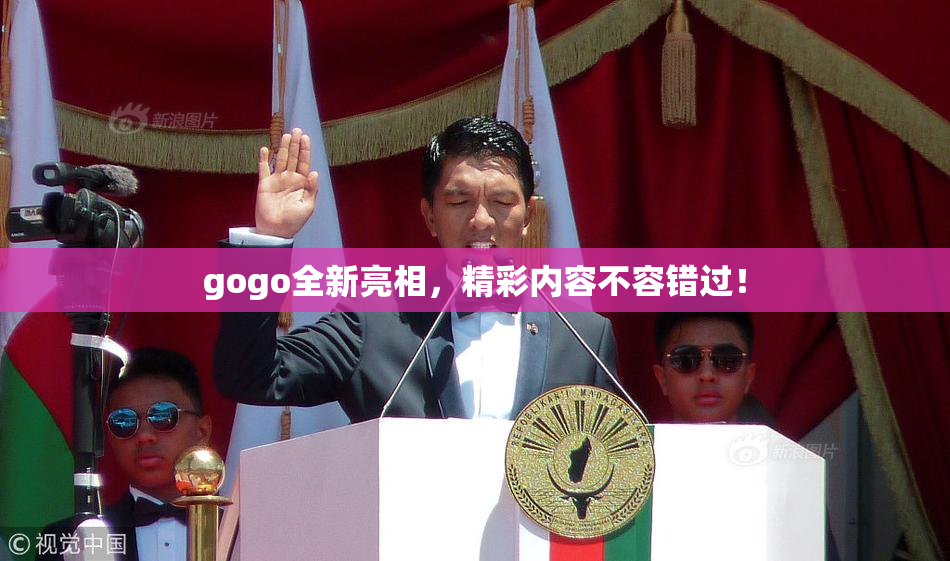 gogo全新亮相，精彩内容不容错过！